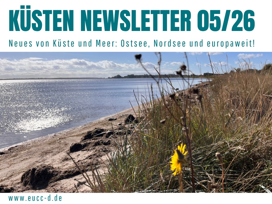 Küsten Newsletter