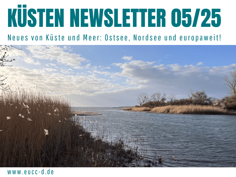 Küsten Newsletter