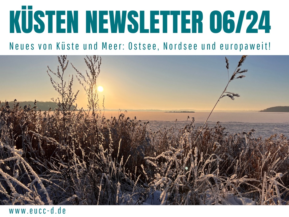 Küsten Newsletter